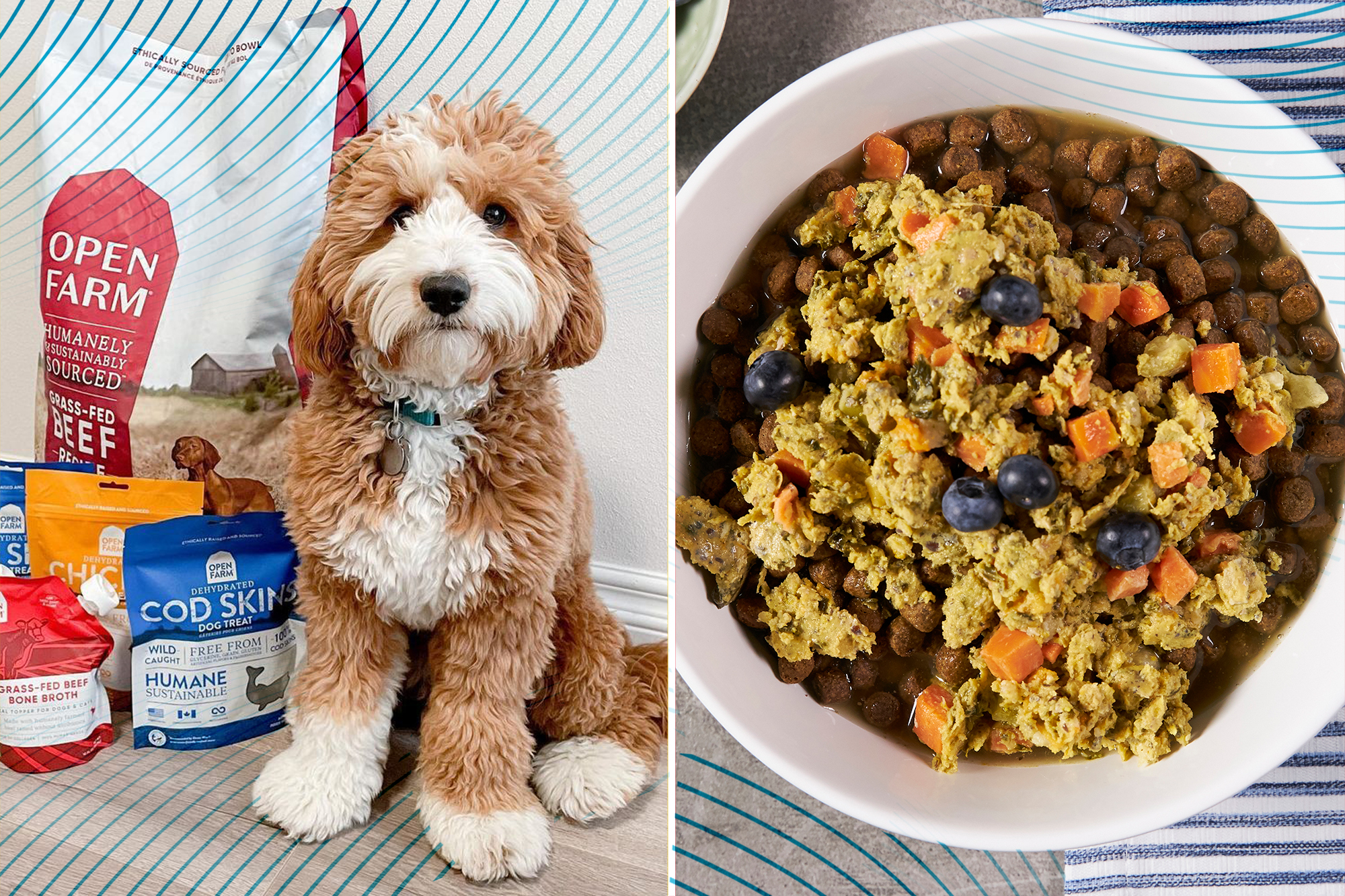 Take 20% off healthy dog food with ingredients you actually recognize – New York Post