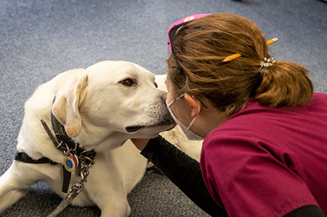 Geisinger seeking volunteers for pet therapy program to support frontline workers | News Articles – Geisinger