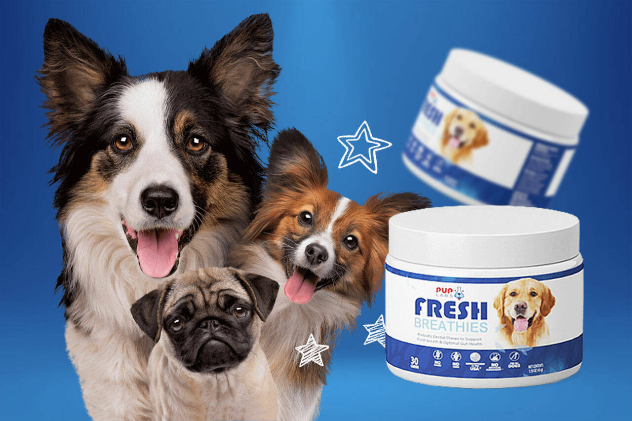 Pup Labs Fresh Breathies Reviews – Is It Legit for Dogs? – Tacoma Daily News