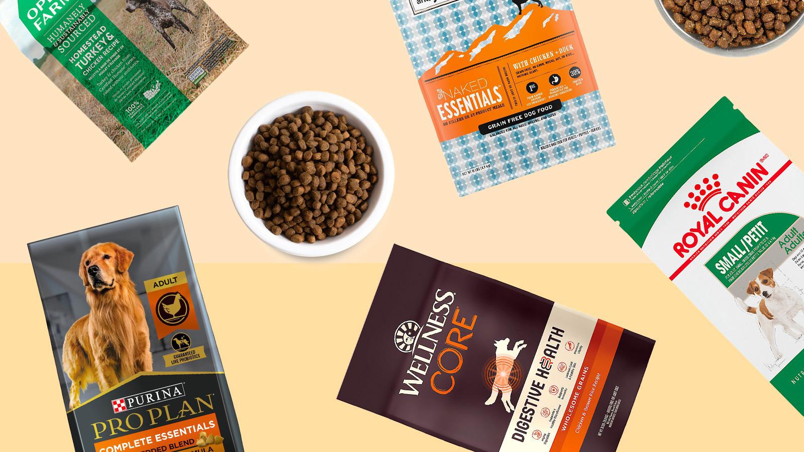 9 Healthy Dry Dog Foods That Are Approved By Veterinarians – Forbes