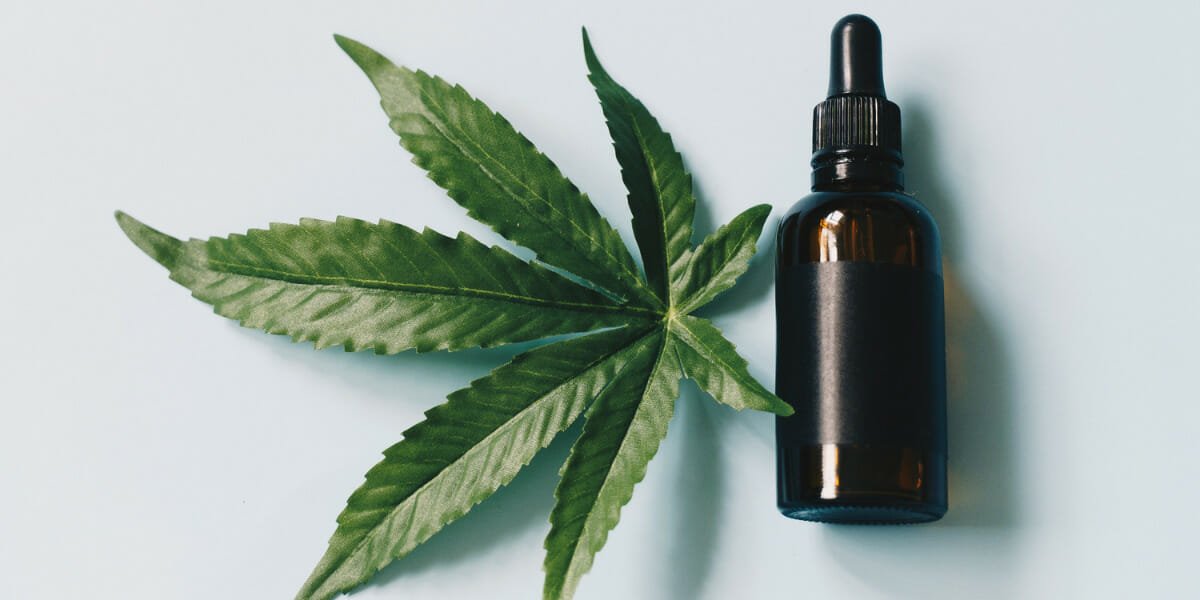 Better Alternative to CBD: Why people are Using CB2 Oil for its Soothing Effect – INQUIRER.net