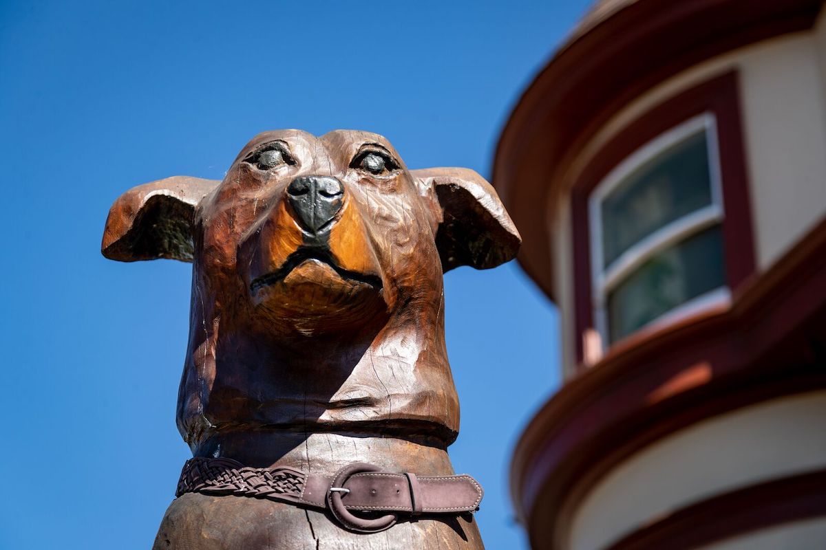 Those giant statues of a dog and cat on Alcatraz Avenue? We got the story – The Oaklandside