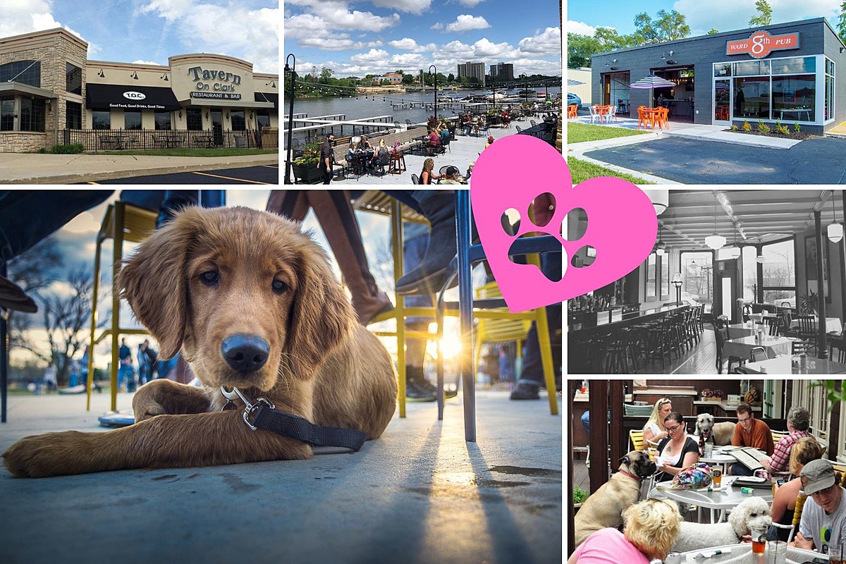 5 of the Best Dog-Friendly Restaurants in Rockford, Illinois – q985online.com