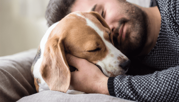 The health benefits of pets – The Hippocratic Post