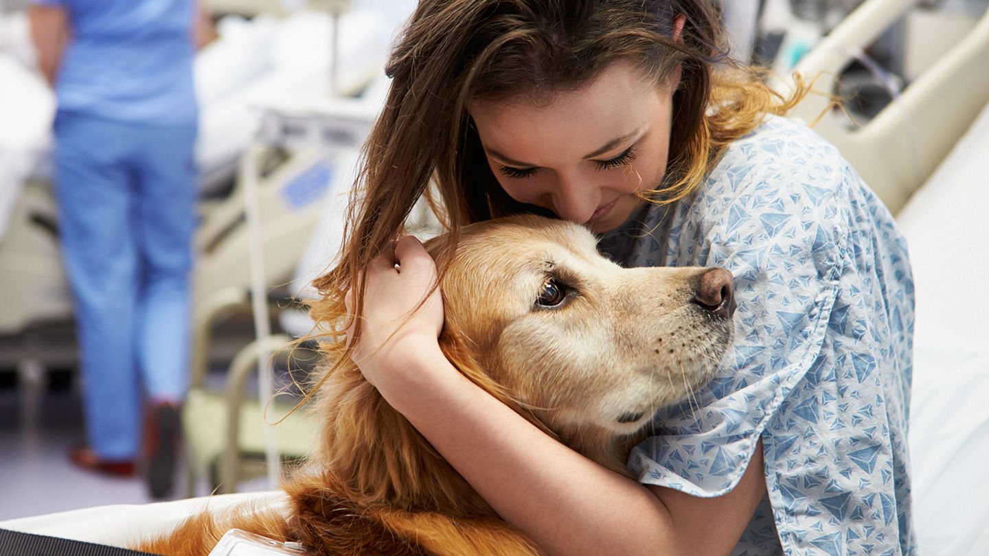 Therapy Dogs Can Help Ease Pain in the Emergency Room – Everyday Health