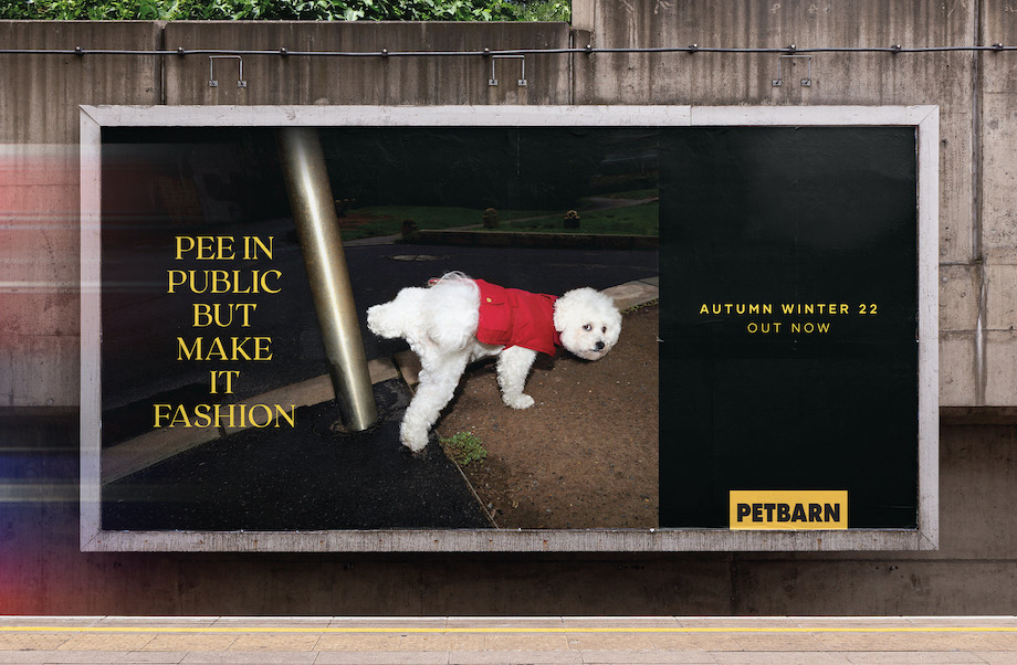 Petbarn launches new AW22 collection and national campaign via Howatson+Company – Campaign Brief