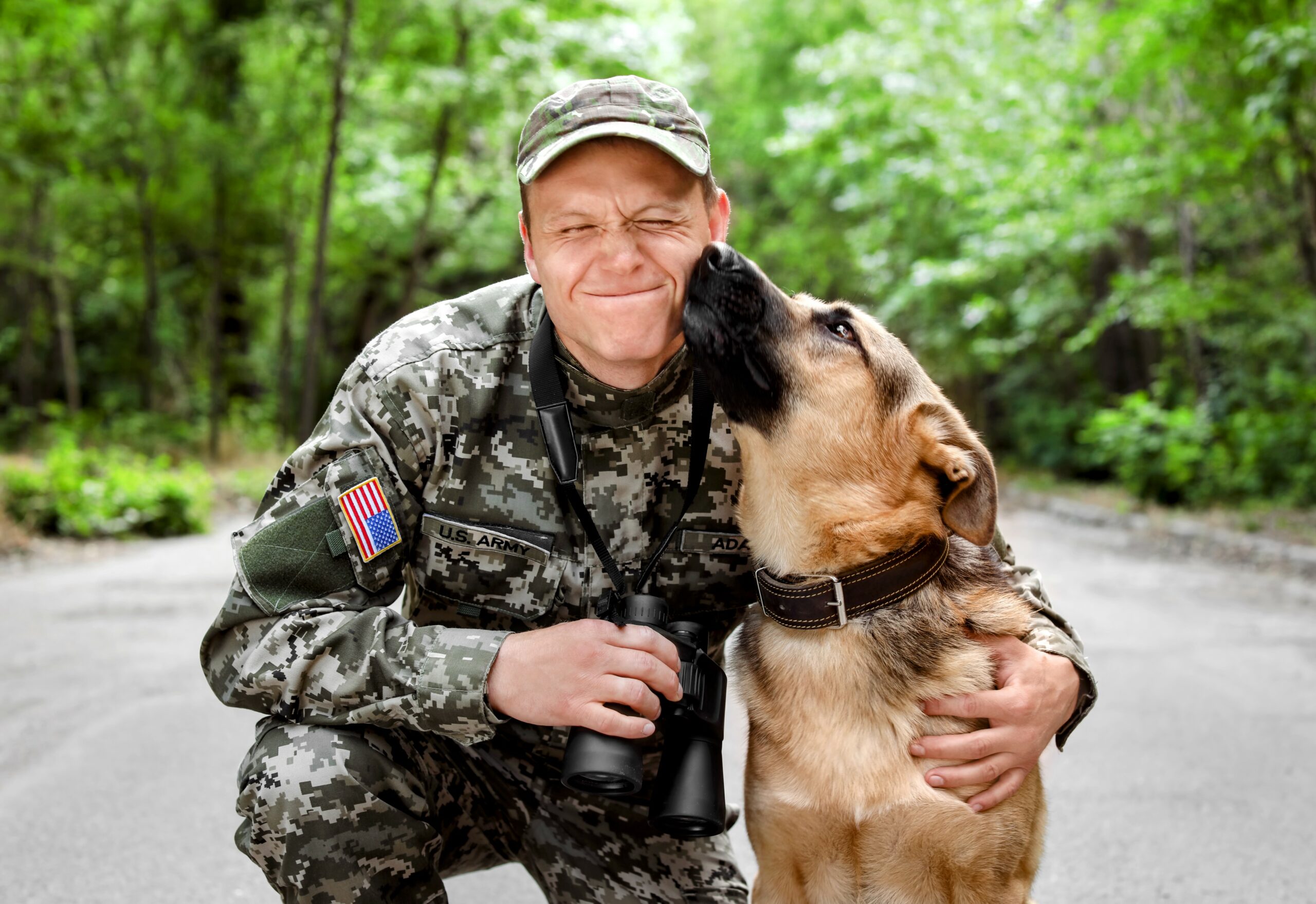 Service dogs reduce symptoms of posttraumatic stress – Earth.com