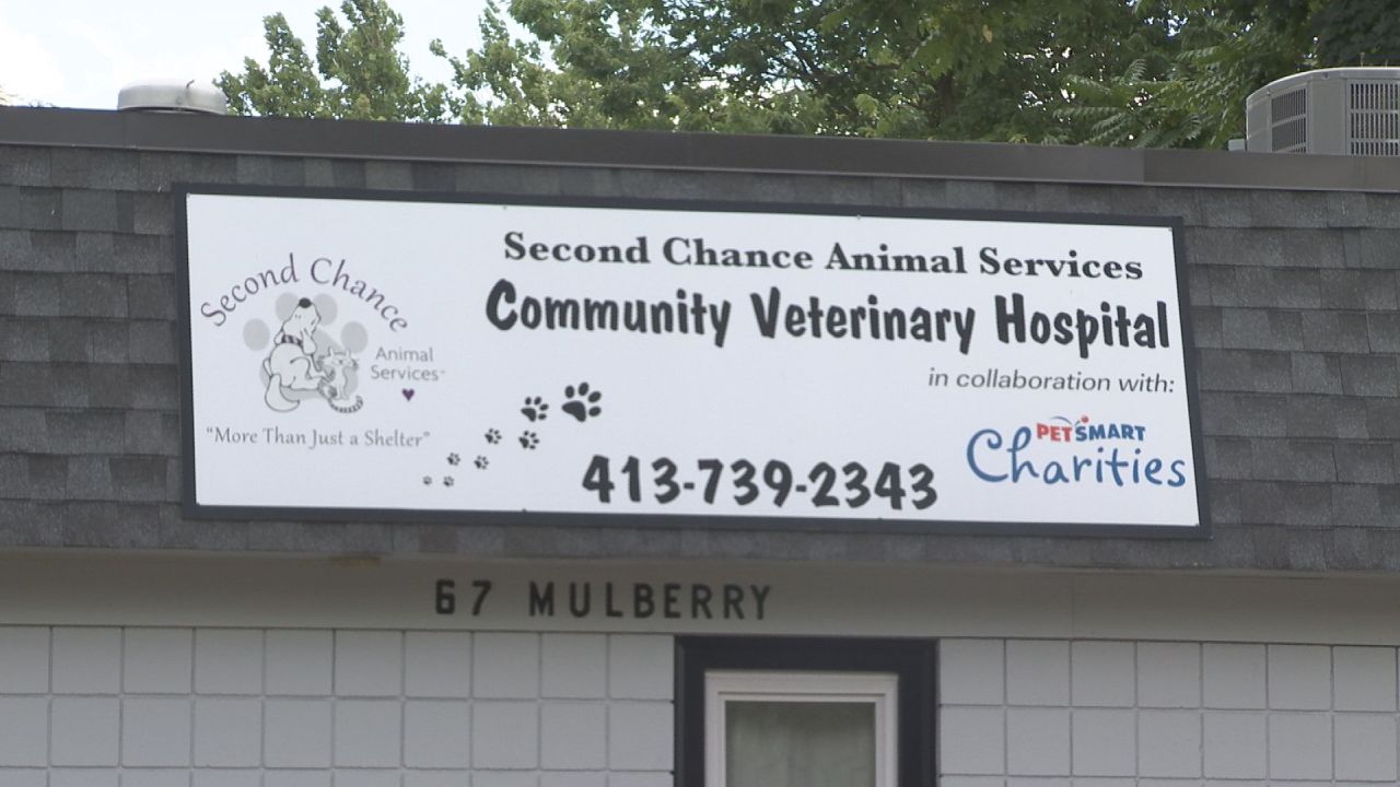 Free pet vaccine clinic to be held in Palmer – WWLP.com