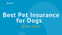 Best Pet Insurance for Dogs | The Ascent – The Motley Fool