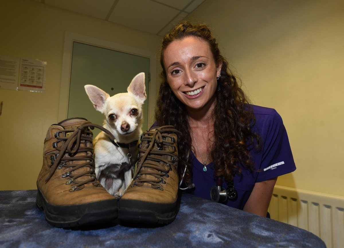 Vets battle through the elements to make their voices known on three peaks challenge for mental health – Lancashire Evening Post