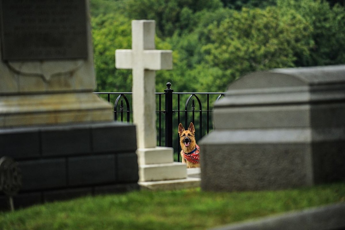 Family Furious After Woman Sneaks Dog Into Grandpa's Funeral – PopCrush