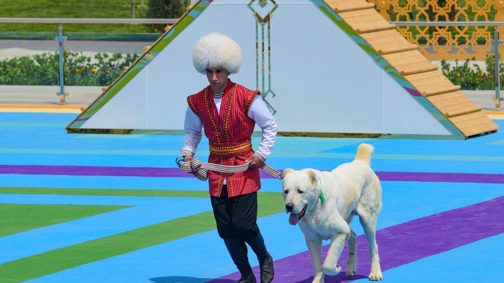 Turkmenistan restricts export of its local Alabay dog breed – Arizona Daily Star