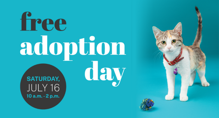 Just What You Need! Adopt a New Lovable Pet During Free Adoption Day This Saturday – Pasadena Now