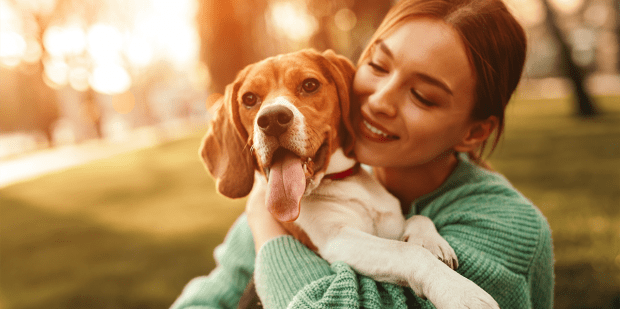 3 Ingredients That Could Silently Be Making Your Dog Feel Sick – YourTango