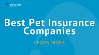 Best Pet Insurance Companies in July 2022 | The Ascent – The Motley Fool