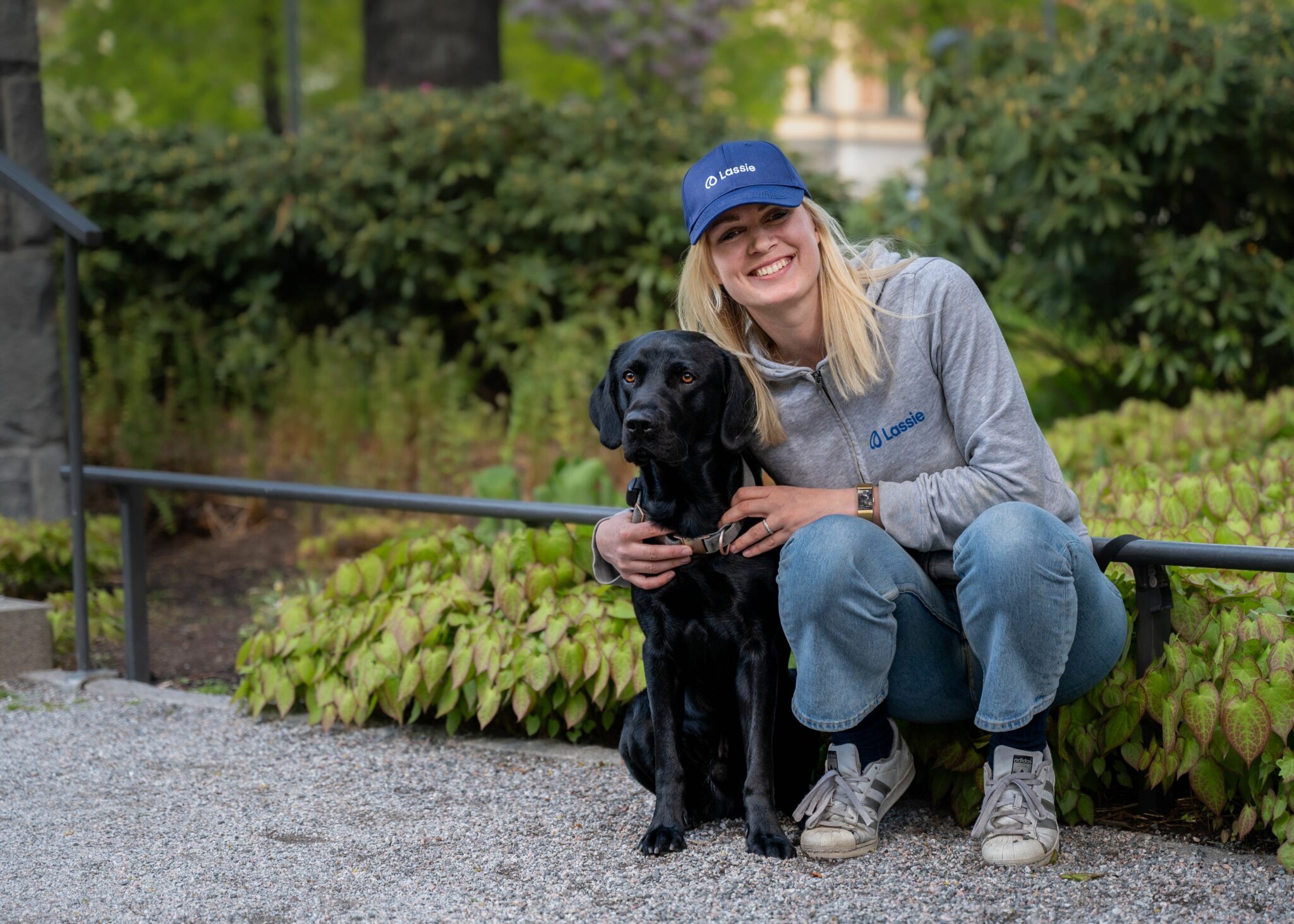 Stockholm-based Lassie fetches €11 million for its pioneering preventative pet health insurance – EU-Startups