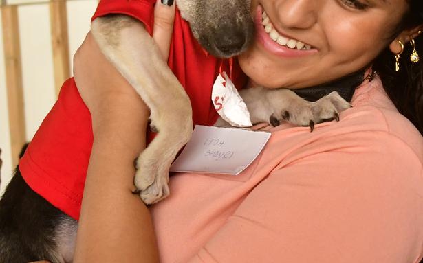 Future Generali India unveils dog health cover – The Hindu