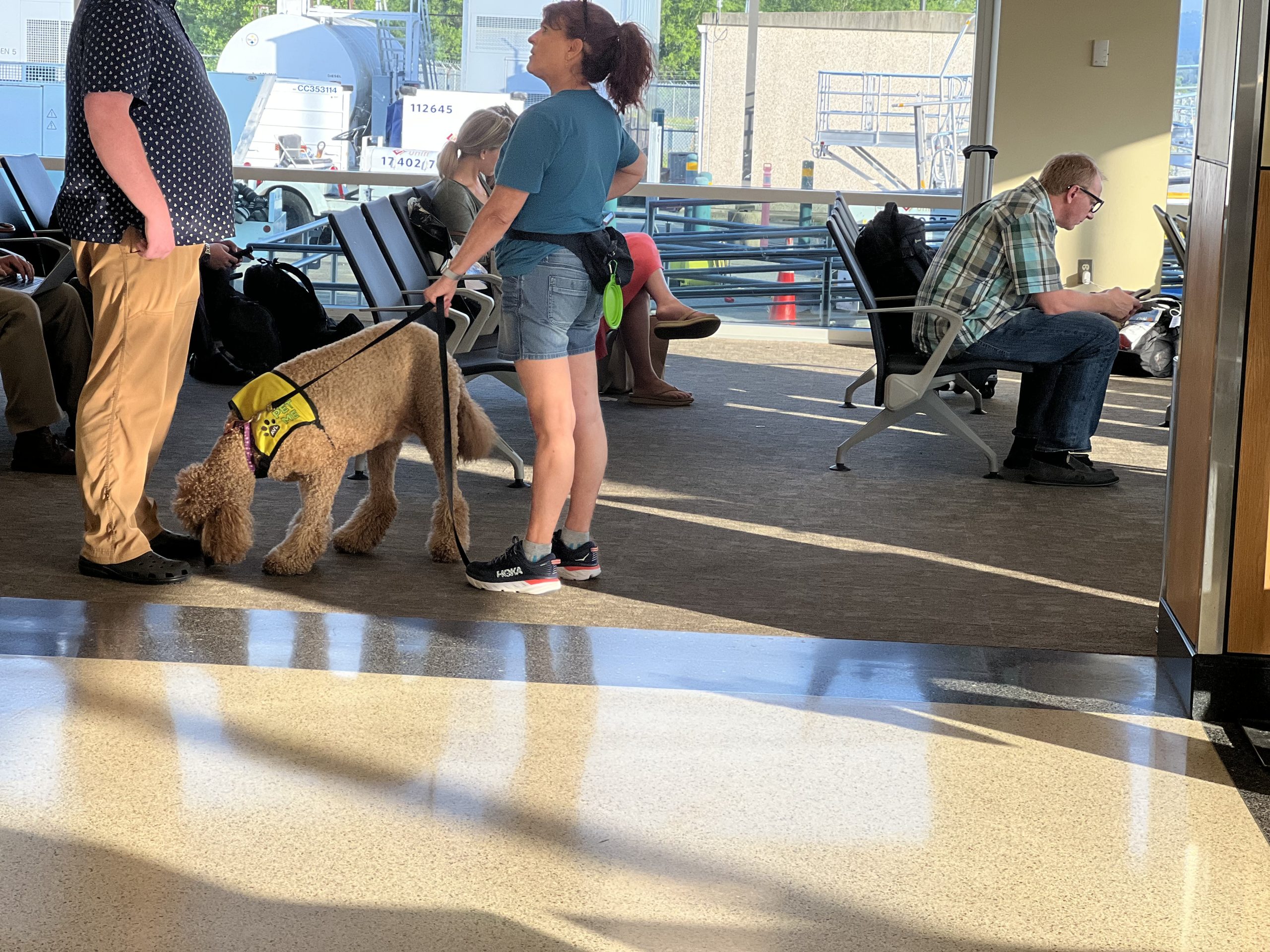 Asheville airport therapy dogs help anxious flyers and workers – North Carolina Health News