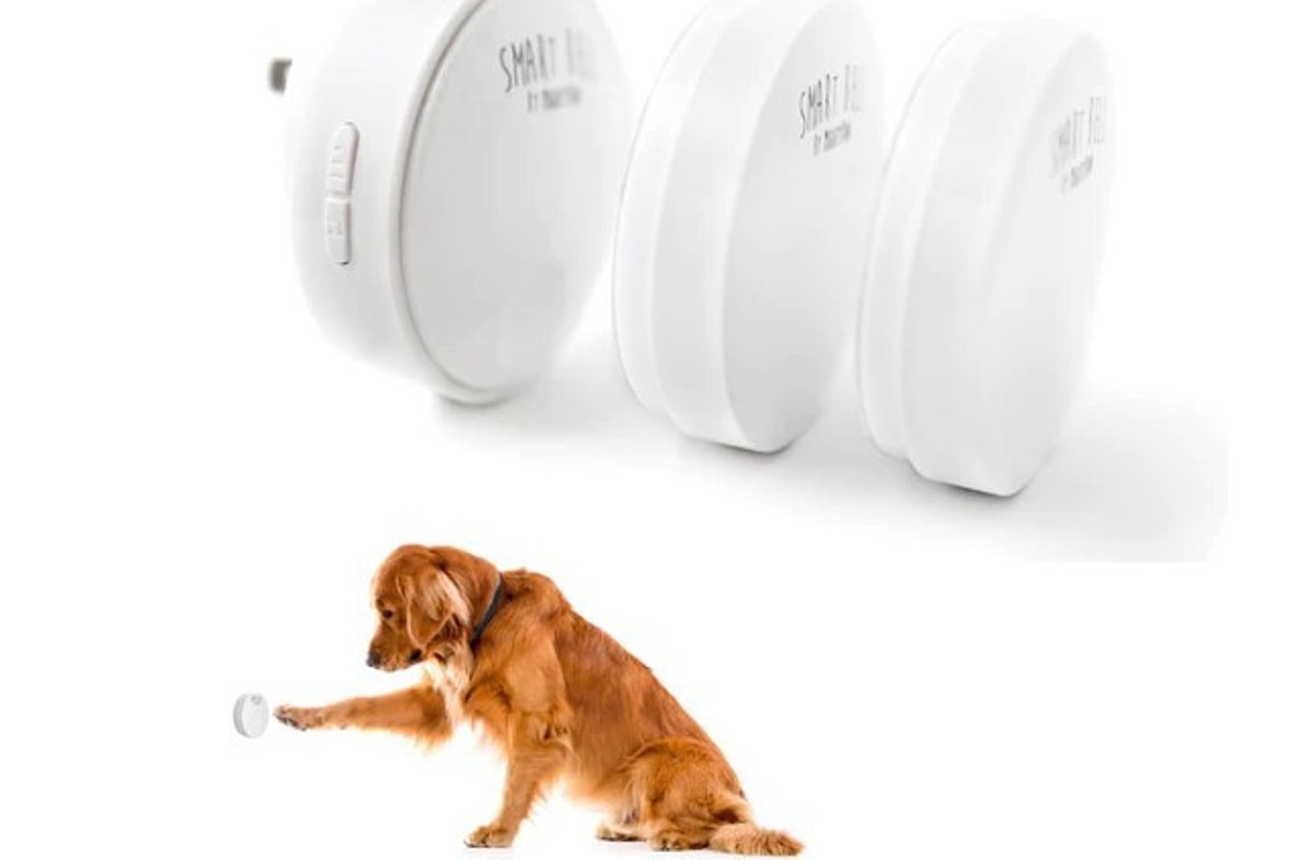 Training Your Dog to Use This Device Makes Life So Much Easier – News/Talk 790 KFYO