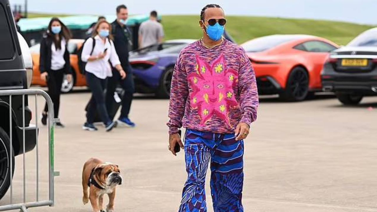 "Lewis Hamilton is not the only Hamilton with bold fashion choices": Mercedes superstar's dog Roscoe was… – The Sportsrush