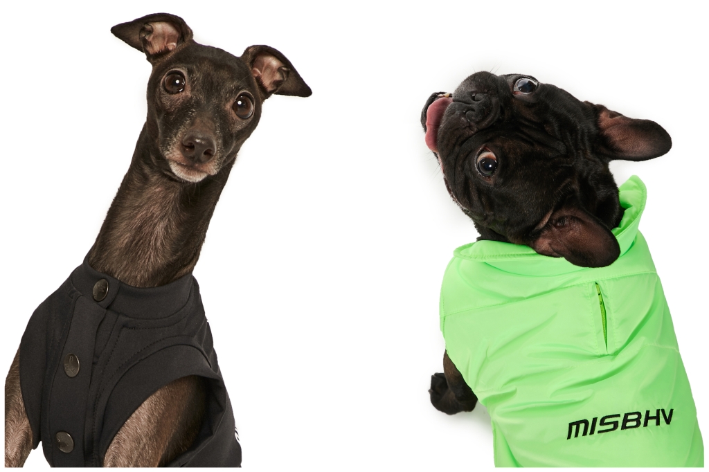 How Dog Apparel Is Performing During Quarantine – WWD