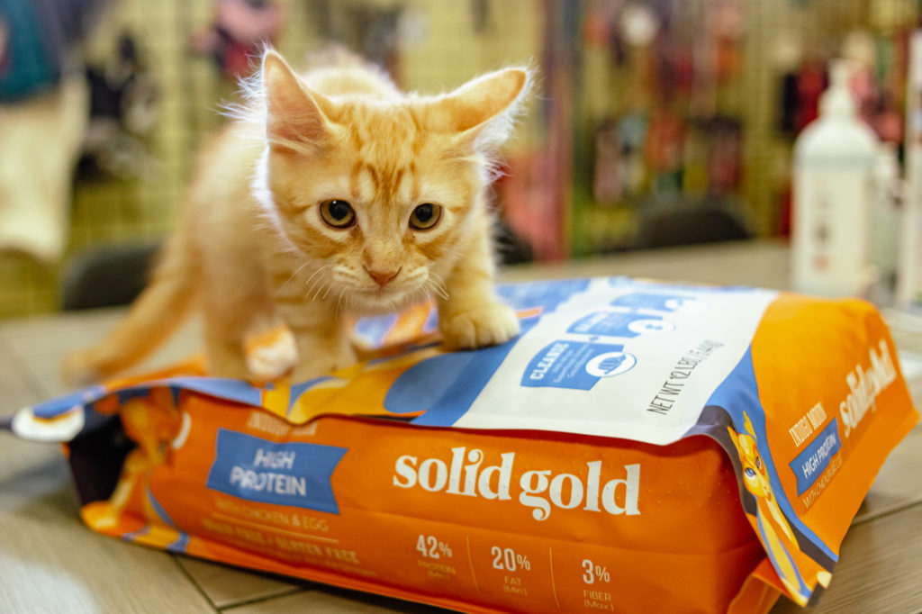 Solid Gold, Pet Alliance of Greater Orlando Partner to Feed 11000 Pets in Need – Pet Age