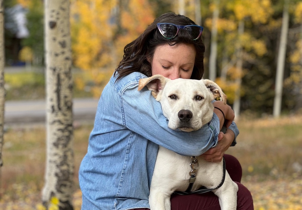 4 must-have dog accessories for your pandemic pup – The Denver Post