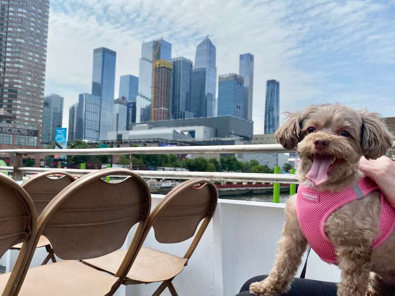 This New Hudson River Cruise Is Perfect for NYC Dog Lovers – Thrillist