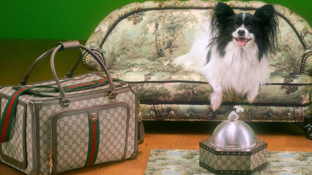 Gucci’s Newest Collection Is for Luxury-Loving Canines and Felines – Hollywood Reporter