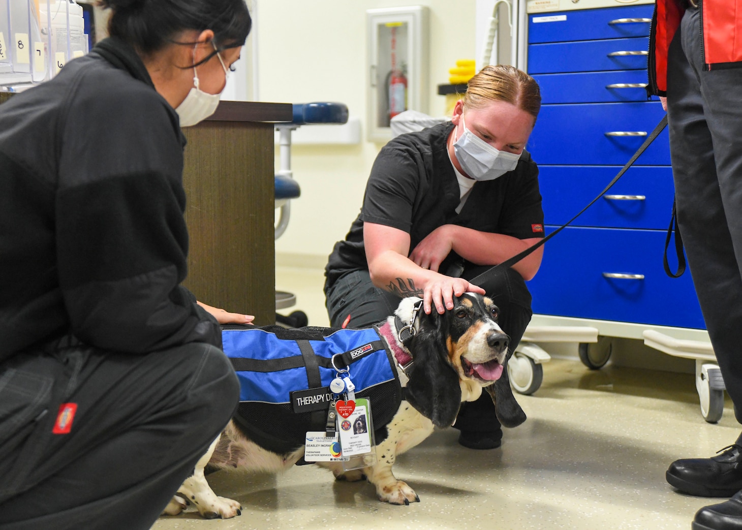 Wagging tails and smiling faces: Therapy dogs bring comfort to Medical Center staff – navy.mil