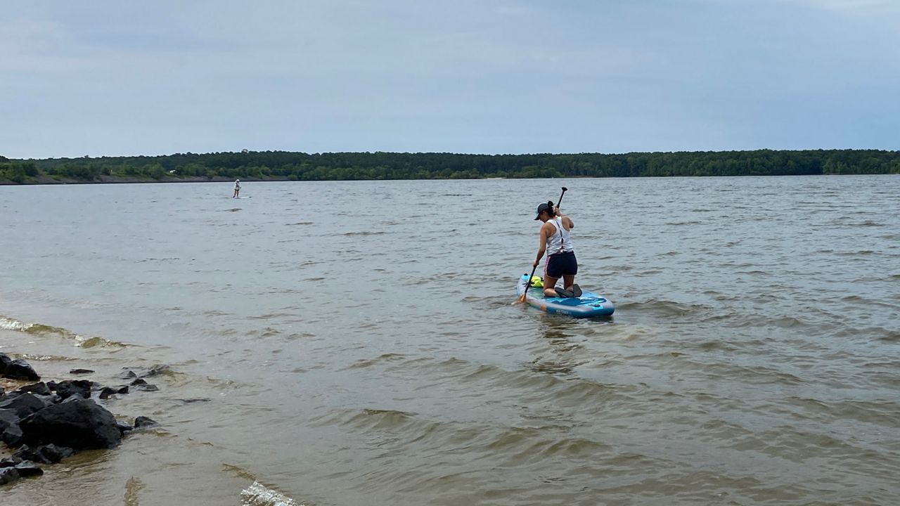 Toxic algae at Jordan Lake killed dogs, officials say – Spectrum News