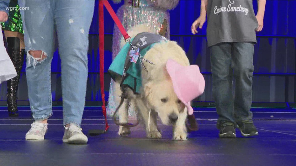 White Whiskers holds dog fashion show to raise money – WGRZ.com