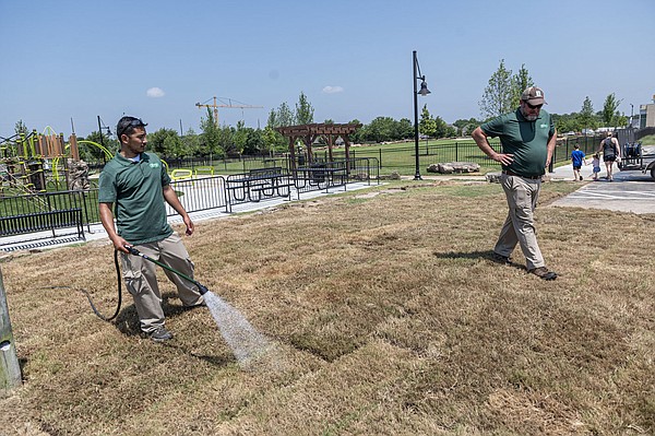 Orchards Park dog park to open today in Bentonville – Northwest Arkansas Democrat-Gazette