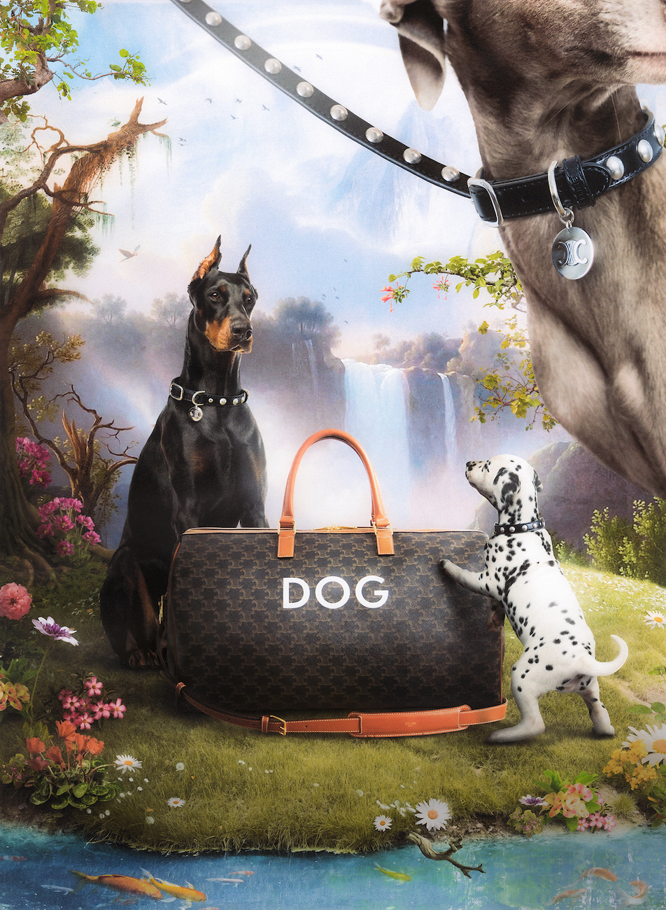 What V Want: Celine Dog Collection – vmagazine.com