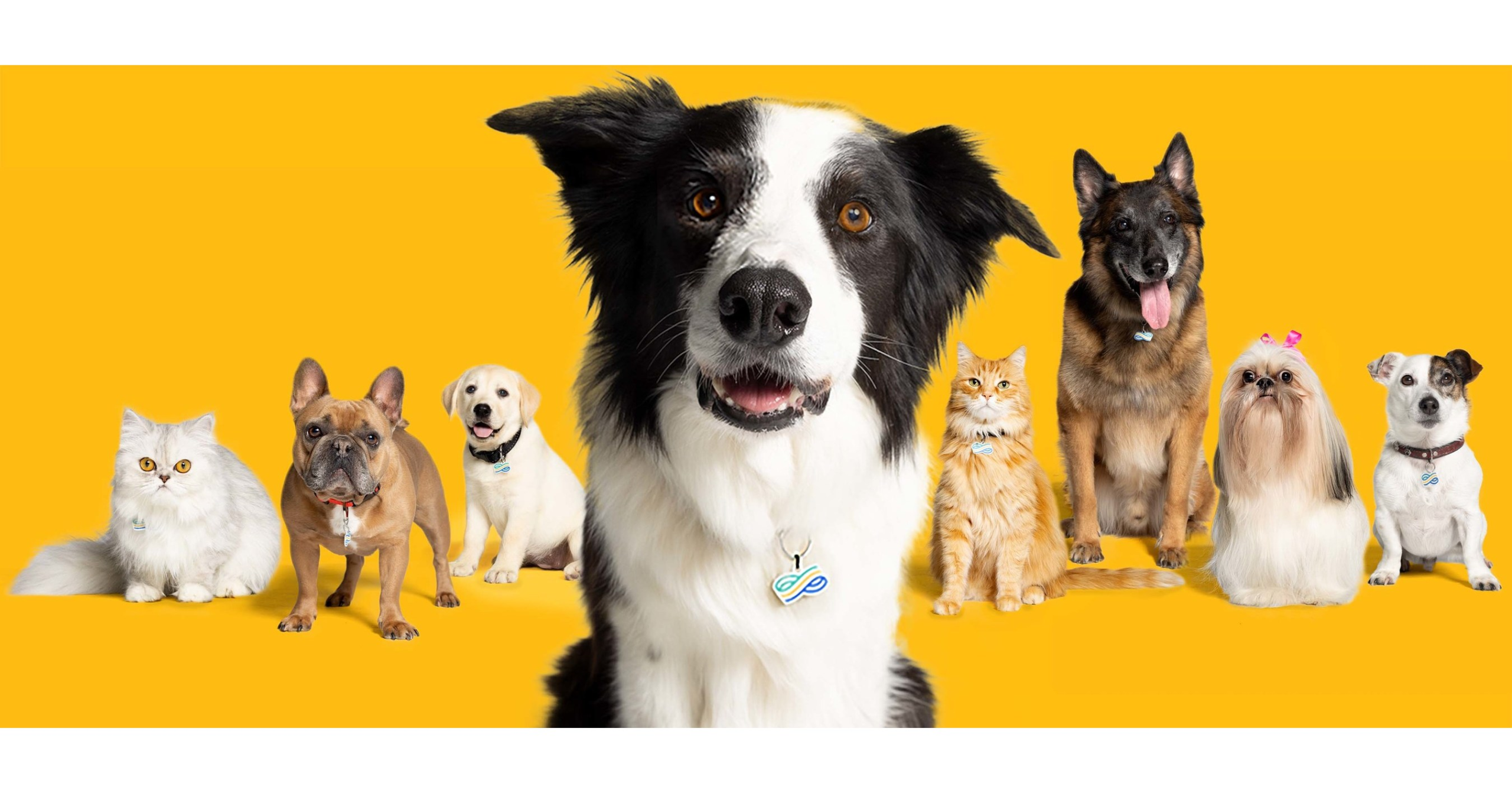 Covering the Family: Physicians Mutual Adds Pet Health Insurance – PR Newswire