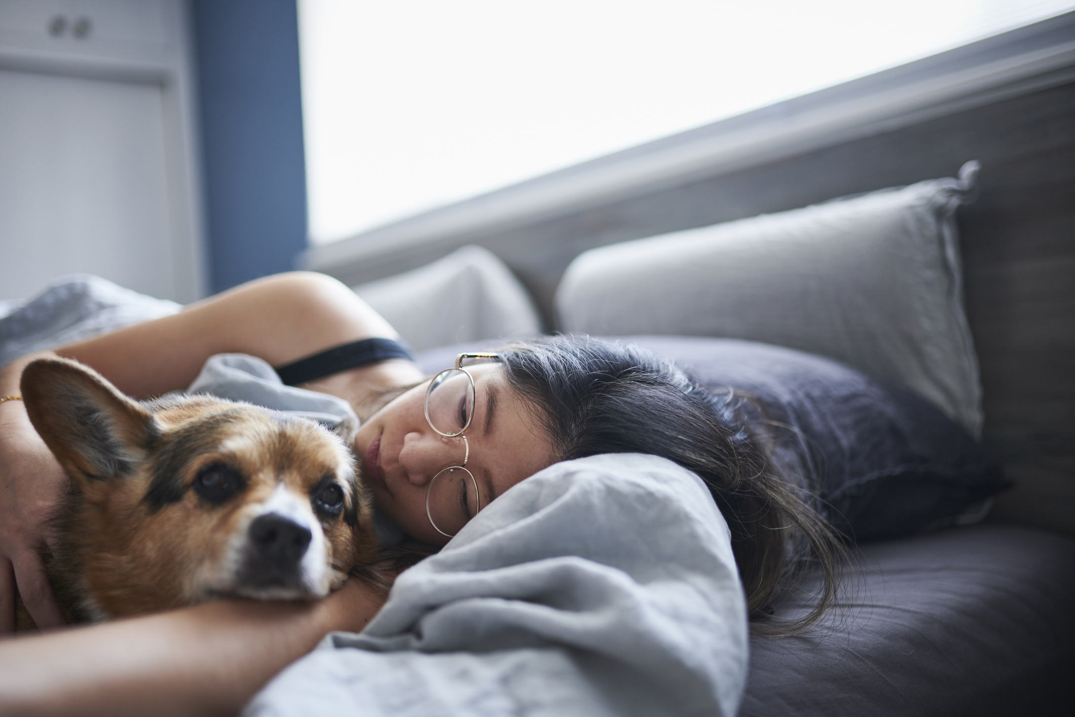 Can Dogs Get COVID? What to Know About the Virus and Pets – NBC Chicago