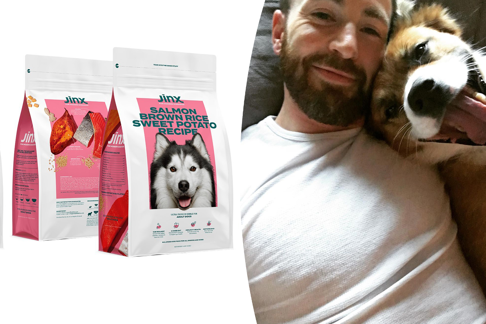 Chris Evans and more A-listers invest in healthy dog food brand – Page Six