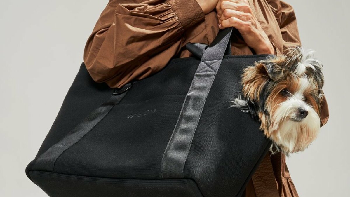 We tried all the dog products from Wild One's latest drop – Mashable