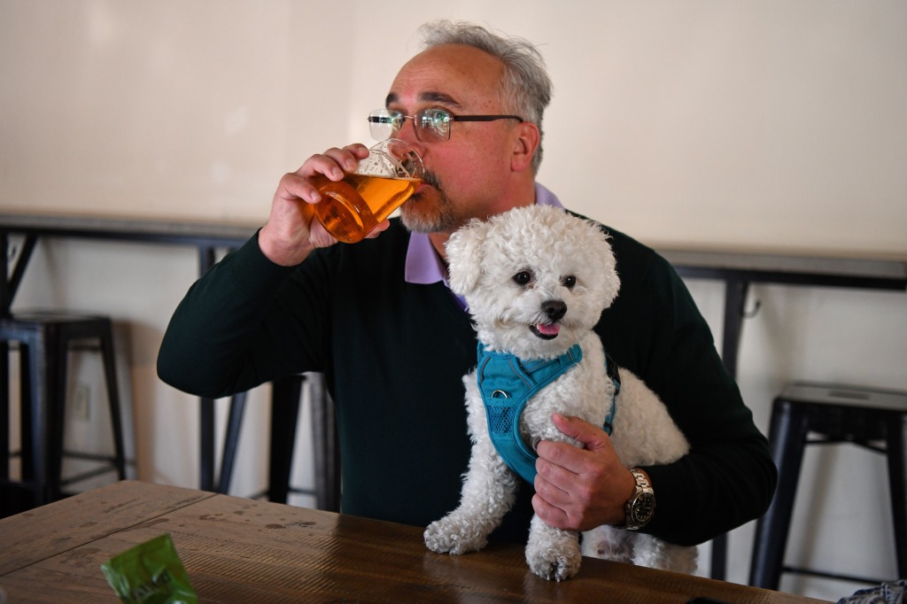 10 amazing ways to eat, drink and play with your dog in the Bay Area – The Mercury News