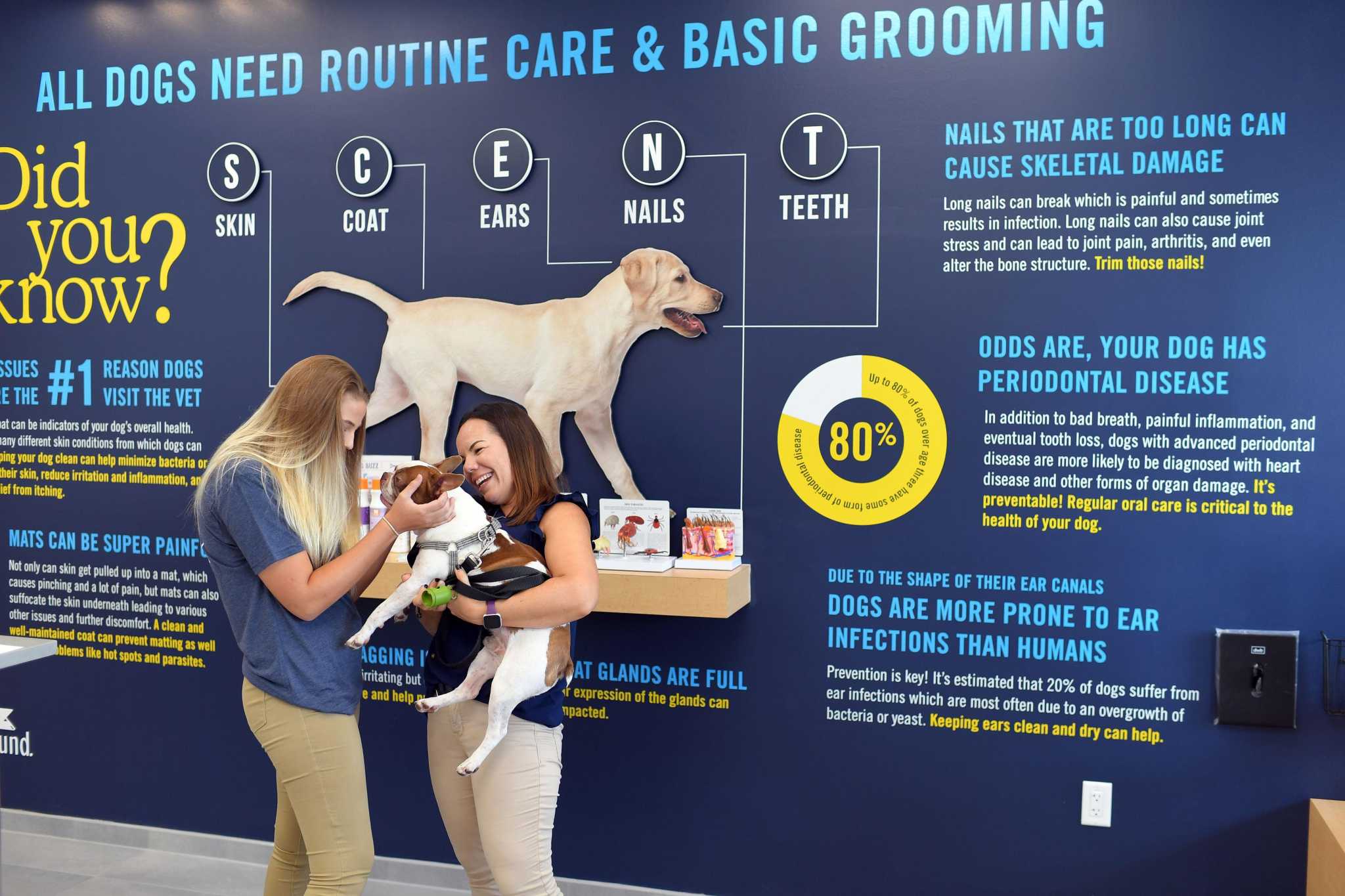 Retail wrap: Scenthound dog grooming makes Houston debut in Meyerland – Houston Chronicle