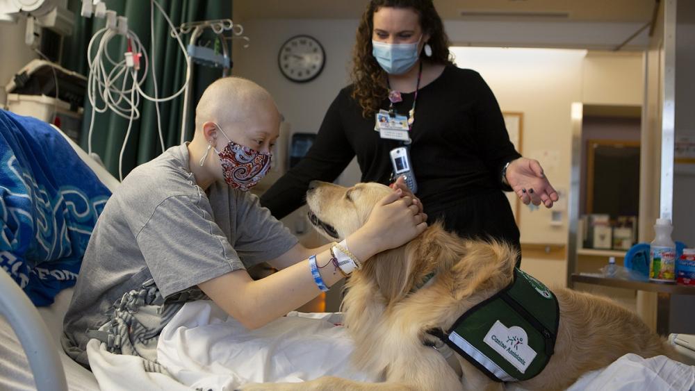 Fourth four-legged employee to join Penn State Health's facility dog program – Pennsylvania State University