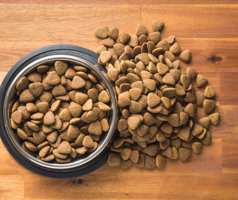 20 Best Quality Dog Foods in 2022 – DISCOVER Magazine