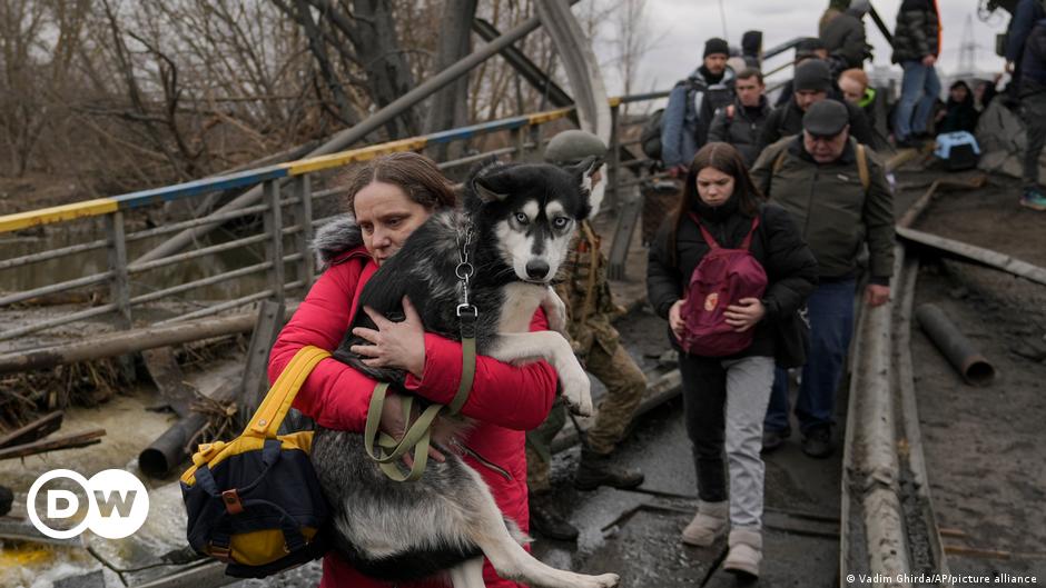 Ukraine: Pets evacuated, rescue groups send aid to animals in danger – DW (English)