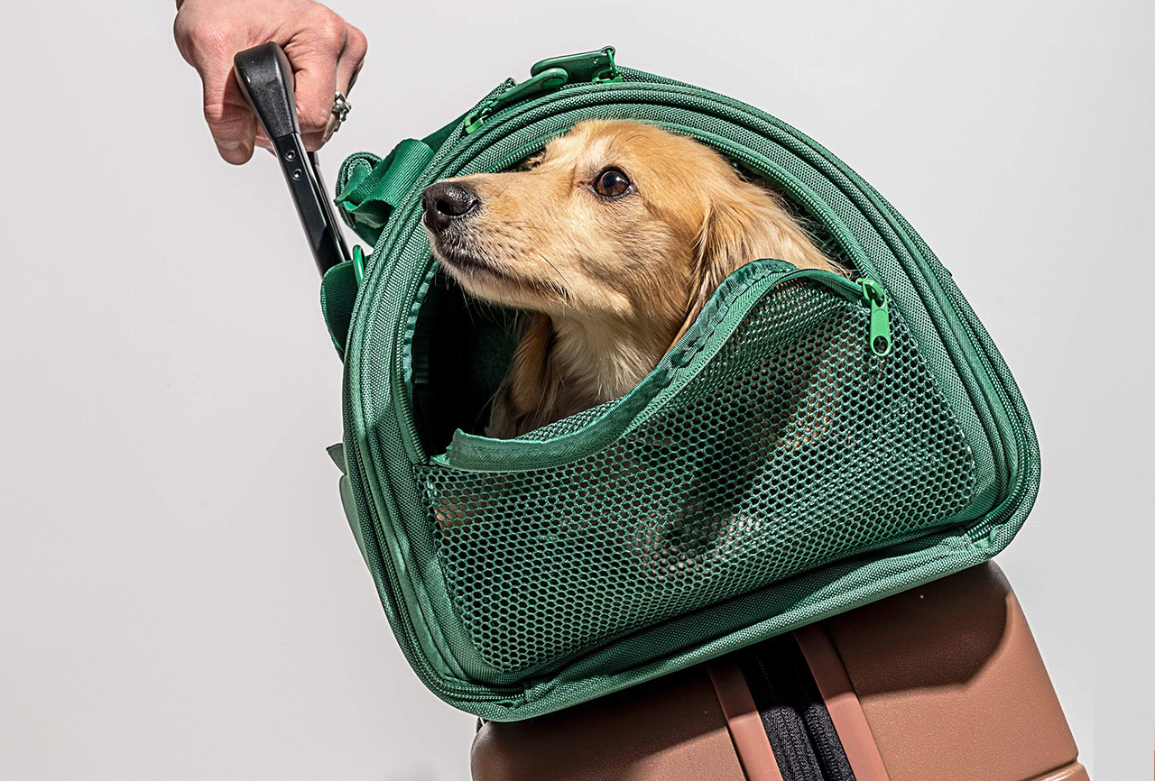 Everything You Need To Travel With Your Pets This Summer – Design Milk