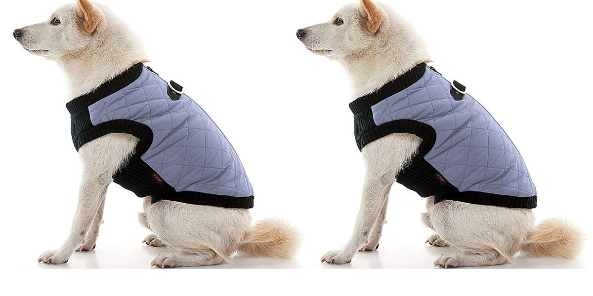 This $30 Dog Sweater Vest Will Keep Small, Chunky Dogs Warm – PEOPLE