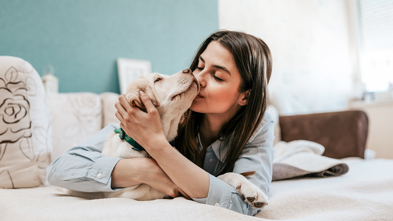 82% of Americans fell in love at first sight with their dogs, survey finds – Fox News