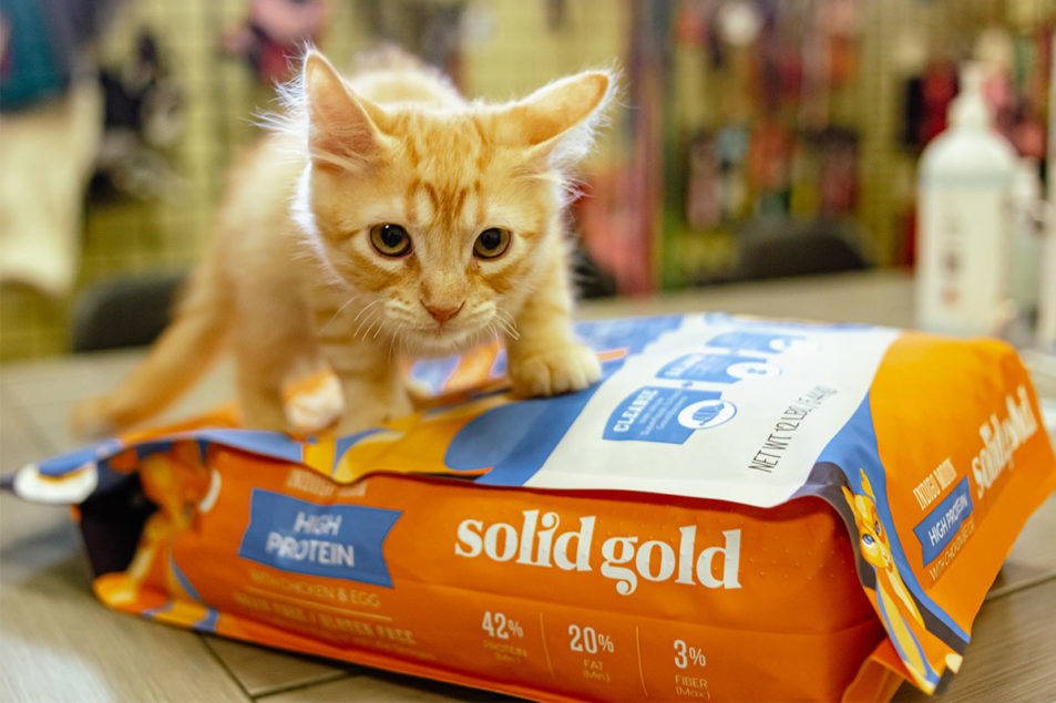 Solid Gold donates pet food through new partnership – Pet Food Processing