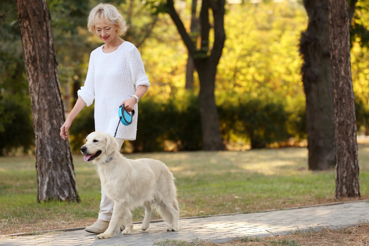 If Your Dog Is Doing This on Walks, Call Your Vet Immediately — Best Life – Best Life