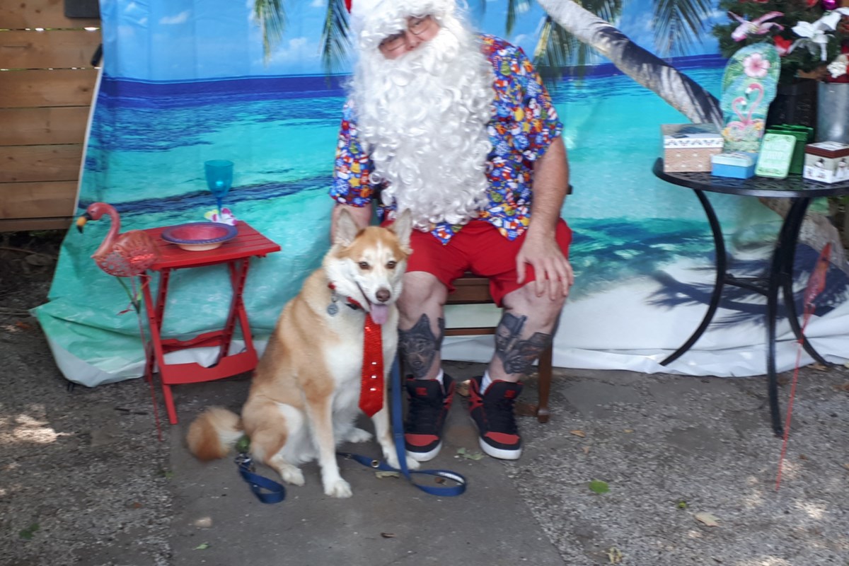 Procyon Wildlife hosts 'Christmas in July' pet photo fundraiser – BarrieToday