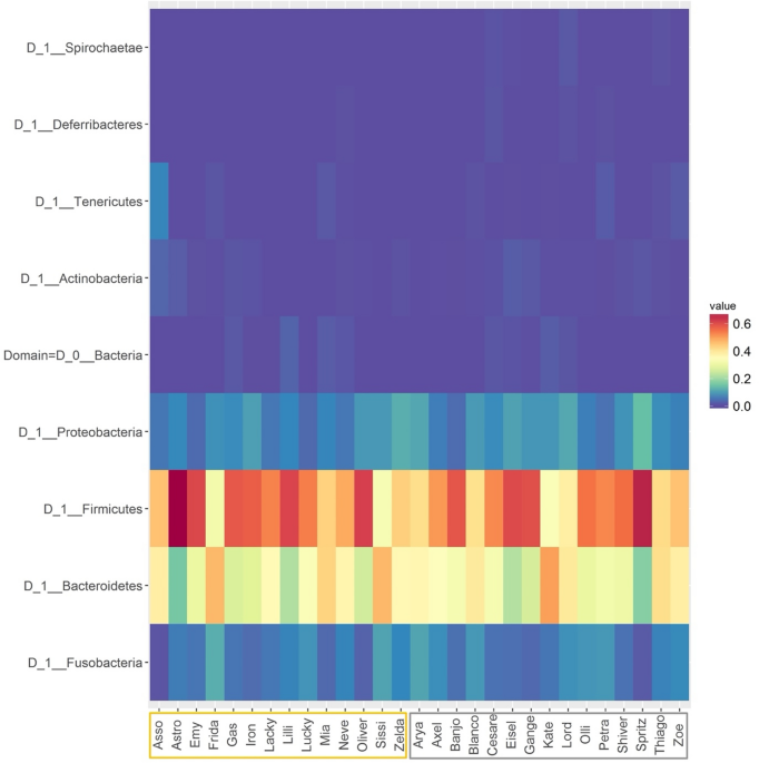 Characterization of intestinal microbiota in normal weight and overweight Border Collie and Labrador Retriever dogs | Scientific Reports – Nature.com